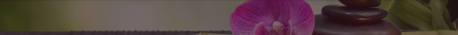 banner-top